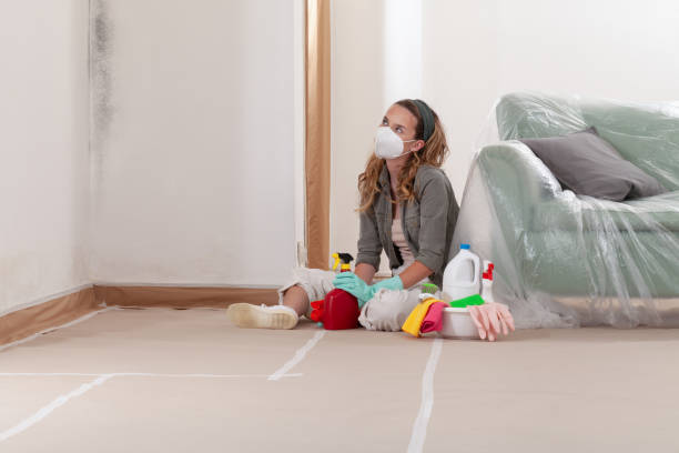 Reliable Mold Testing contractor in Renton, WA by WQB Mold Removal
